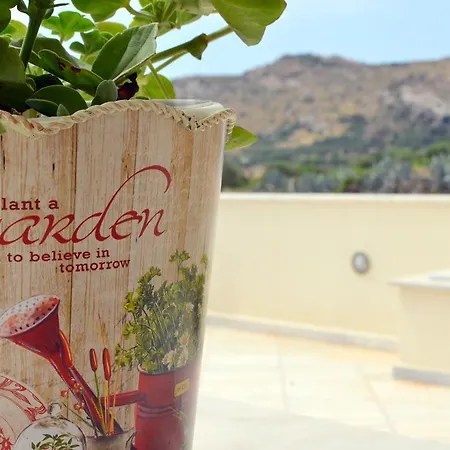 Naxos Olive House
