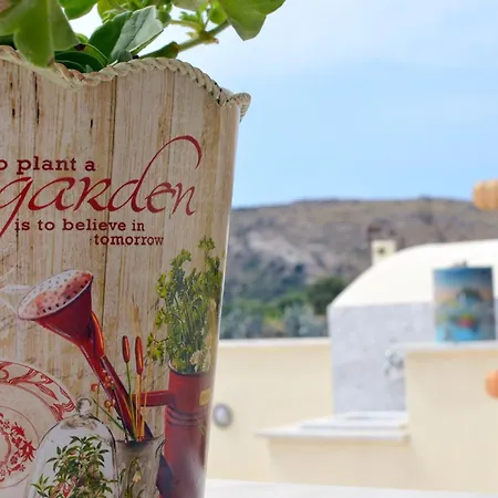 Naxos Olive House דירה