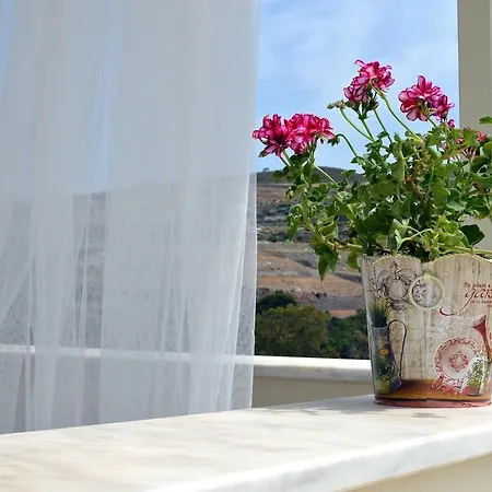 Naxos Olive House דירה Mélanes